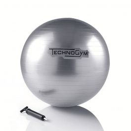 新品 Technogym WELLNESS BALL 55cm Exercise ball for stability training: Technogym Wellness