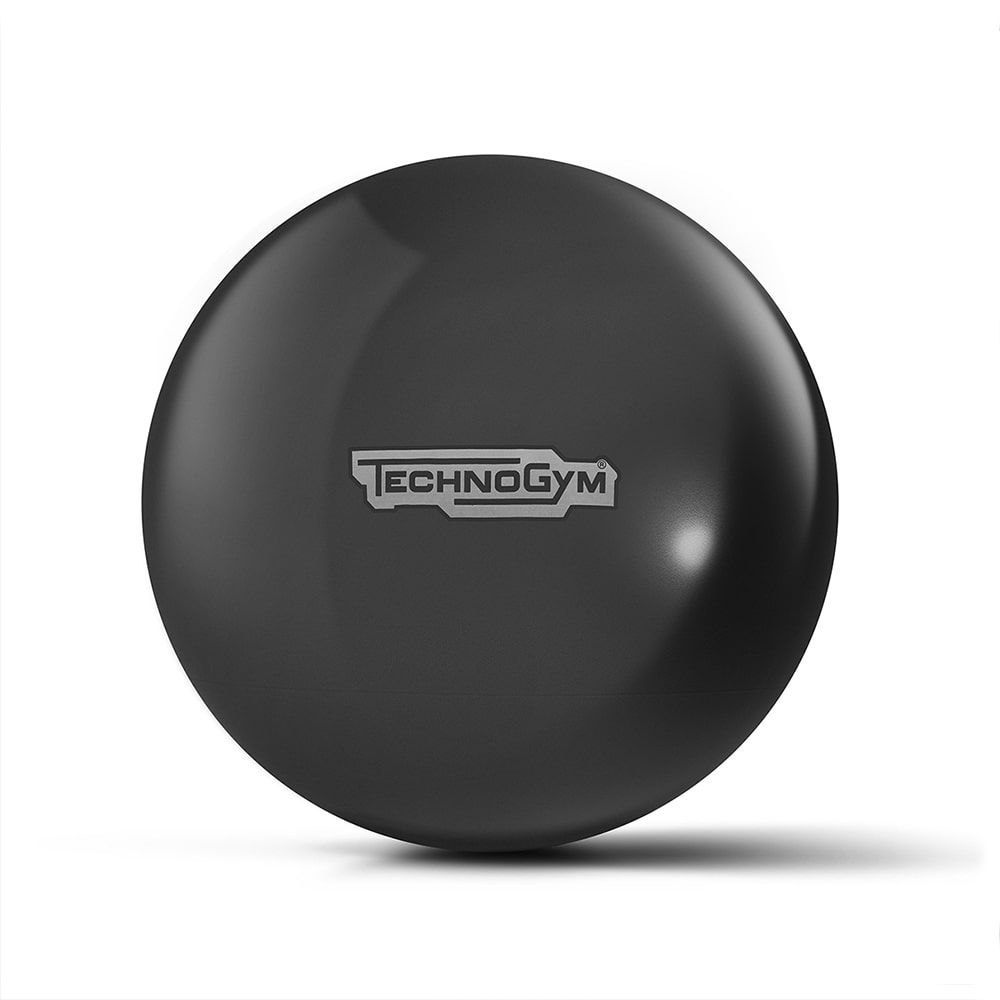 Wellness Ball Active Sitting – Northern Fitness